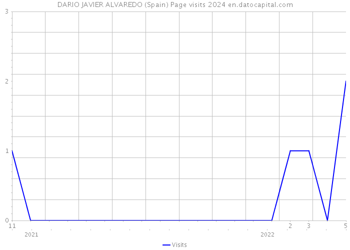 DARIO JAVIER ALVAREDO (Spain) Page visits 2024 