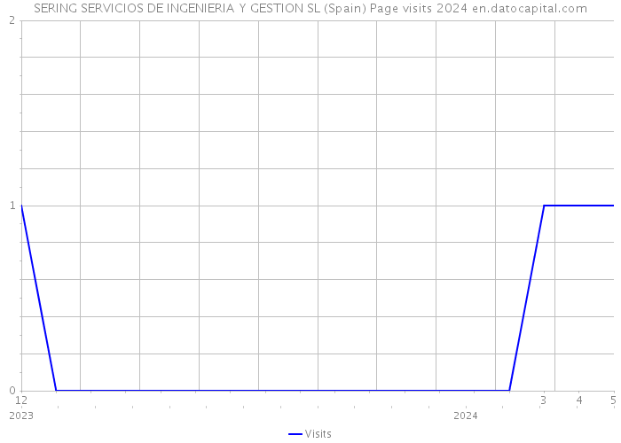 SERING SERVICIOS DE INGENIERIA Y GESTION SL (Spain) Page visits 2024 