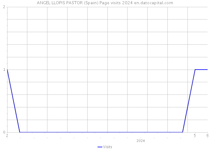 ANGEL LLOPIS PASTOR (Spain) Page visits 2024 