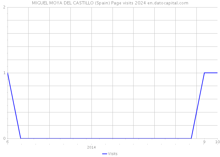 MIGUEL MOYA DEL CASTILLO (Spain) Page visits 2024 