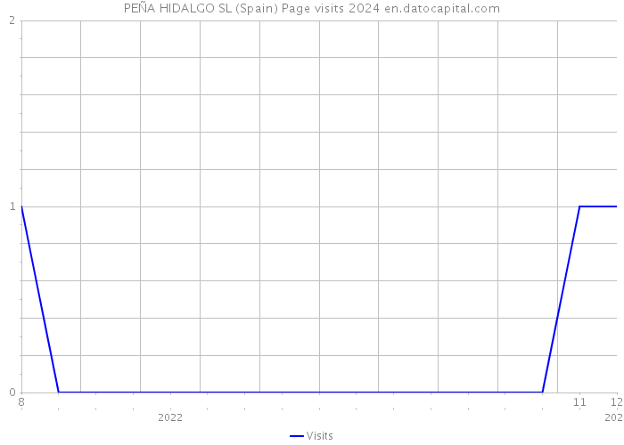 PEÑA HIDALGO SL (Spain) Page visits 2024 