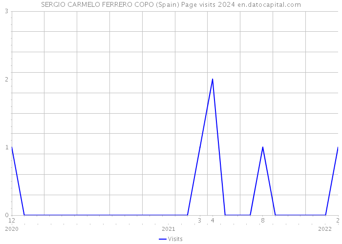 SERGIO CARMELO FERRERO COPO (Spain) Page visits 2024 