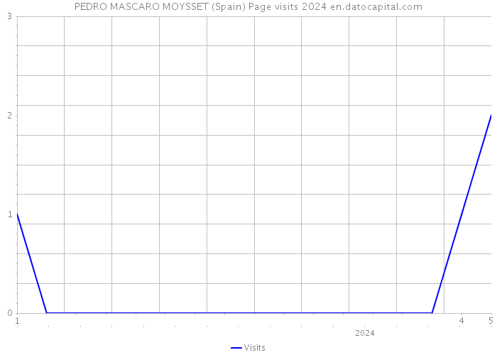 PEDRO MASCARO MOYSSET (Spain) Page visits 2024 
