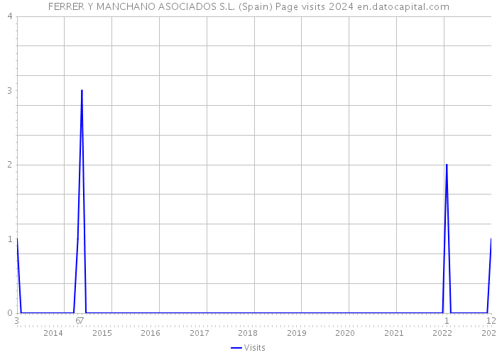 FERRER Y MANCHANO ASOCIADOS S.L. (Spain) Page visits 2024 