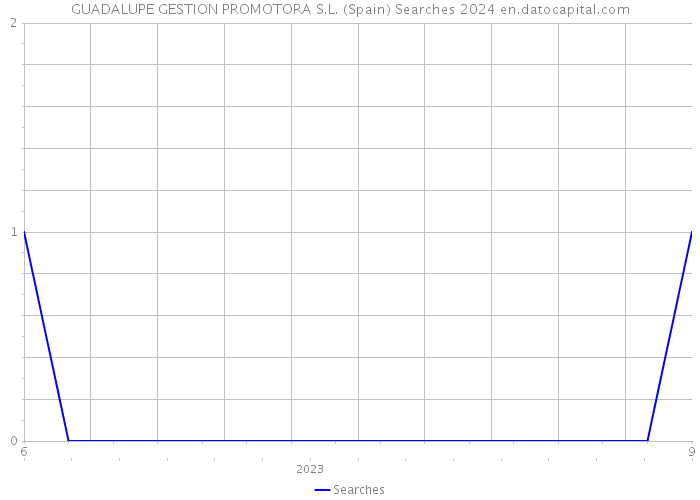 GUADALUPE GESTION PROMOTORA S.L. (Spain) Searches 2024 