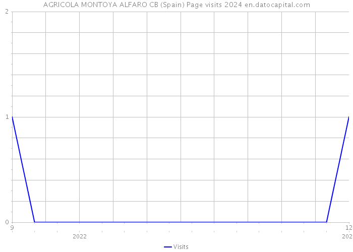 AGRICOLA MONTOYA ALFARO CB (Spain) Page visits 2024 