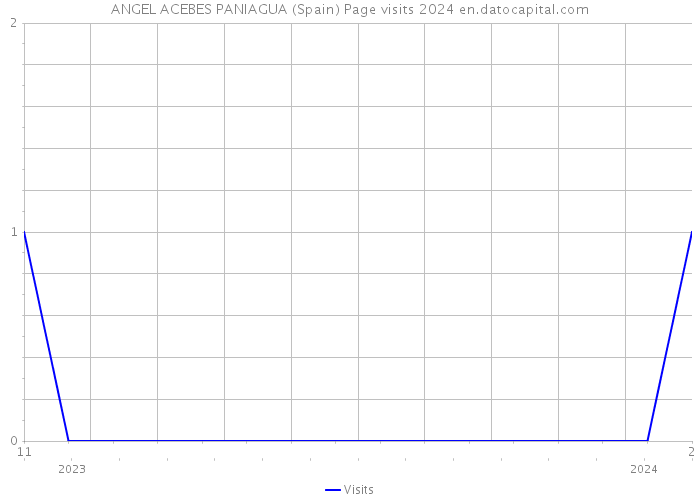 ANGEL ACEBES PANIAGUA (Spain) Page visits 2024 
