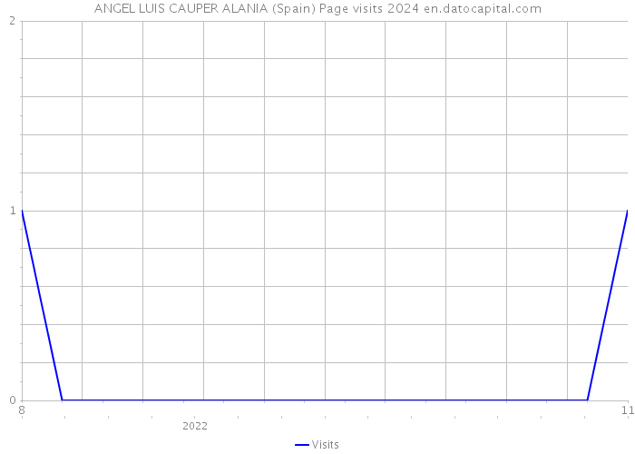 ANGEL LUIS CAUPER ALANIA (Spain) Page visits 2024 