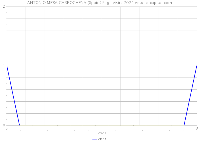 ANTONIO MESA GARROCHENA (Spain) Page visits 2024 