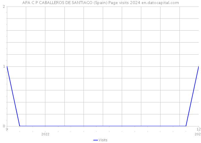 APA C P CABALLEROS DE SANTIAGO (Spain) Page visits 2024 