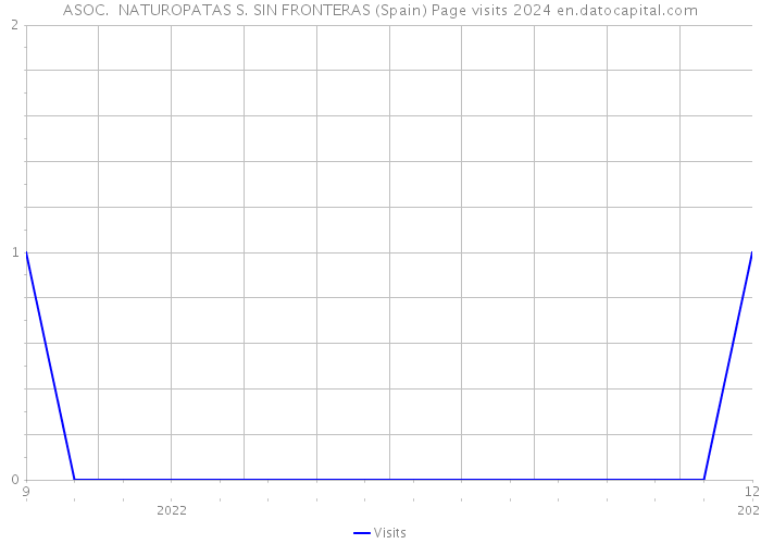 ASOC. NATUROPATAS S. SIN FRONTERAS (Spain) Page visits 2024 