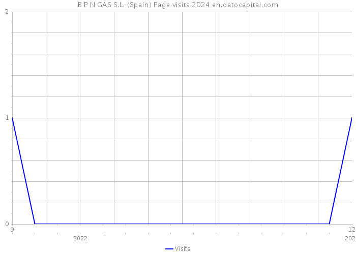B P N GAS S.L. (Spain) Page visits 2024 
