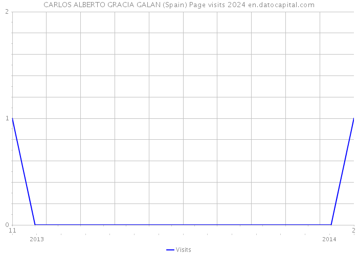 CARLOS ALBERTO GRACIA GALAN (Spain) Page visits 2024 
