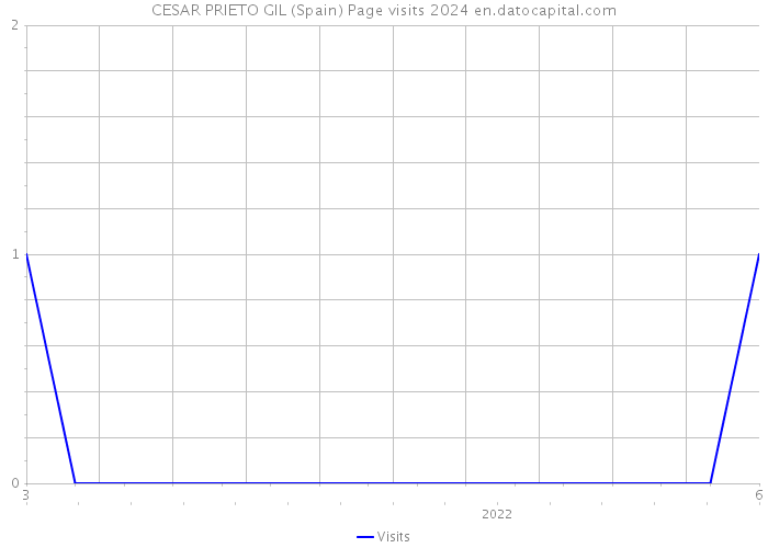 CESAR PRIETO GIL (Spain) Page visits 2024 