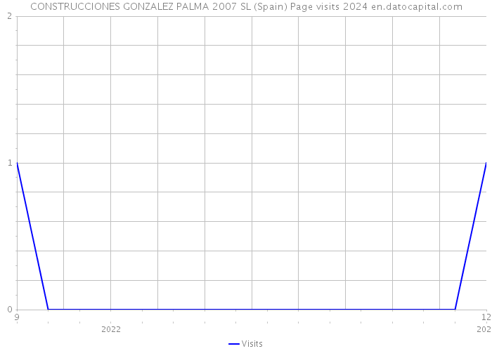 CONSTRUCCIONES GONZALEZ PALMA 2007 SL (Spain) Page visits 2024 