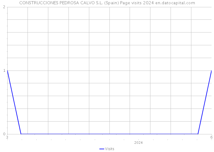 CONSTRUCCIONES PEDROSA CALVO S.L. (Spain) Page visits 2024 