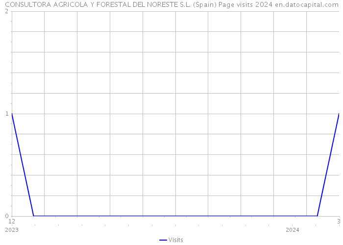 CONSULTORA AGRICOLA Y FORESTAL DEL NORESTE S.L. (Spain) Page visits 2024 