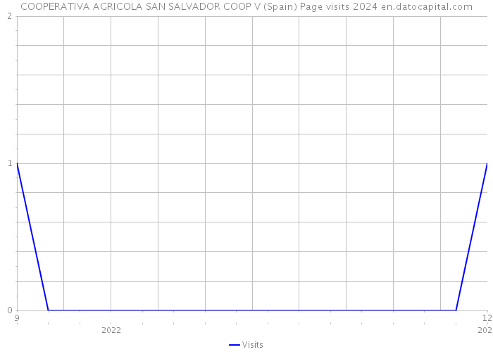 COOPERATIVA AGRICOLA SAN SALVADOR COOP V (Spain) Page visits 2024 