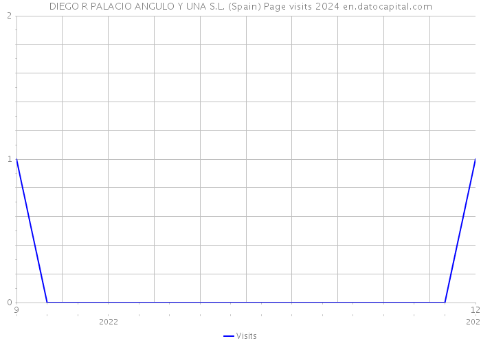DIEGO R PALACIO ANGULO Y UNA S.L. (Spain) Page visits 2024 