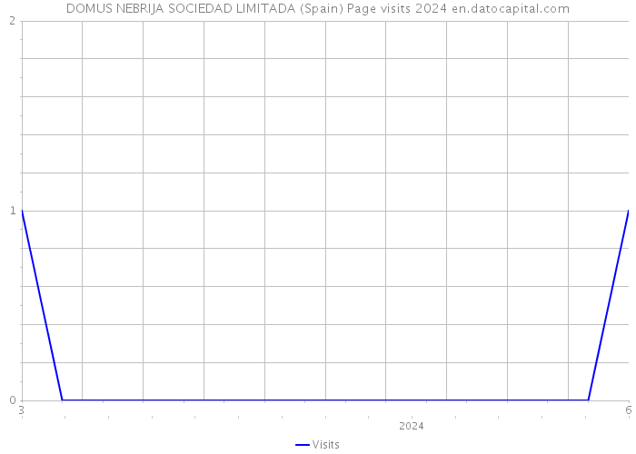 DOMUS NEBRIJA SOCIEDAD LIMITADA (Spain) Page visits 2024 