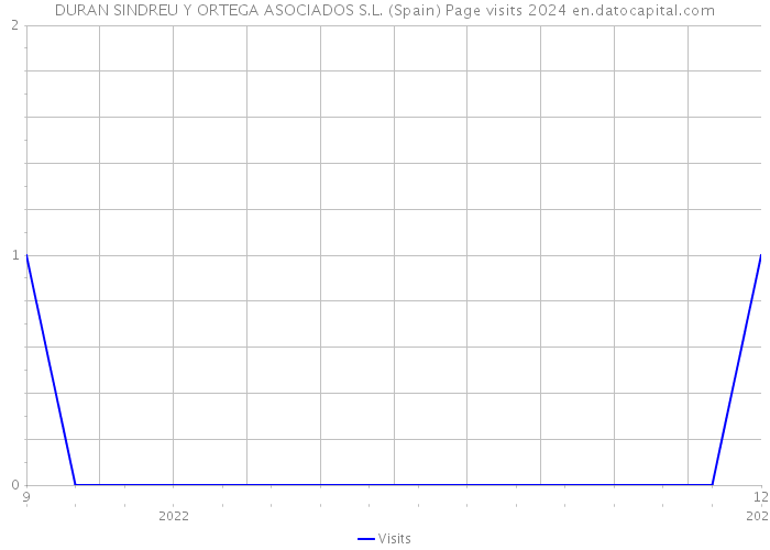 DURAN SINDREU Y ORTEGA ASOCIADOS S.L. (Spain) Page visits 2024 