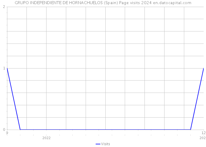 GRUPO INDEPENDIENTE DE HORNACHUELOS (Spain) Page visits 2024 