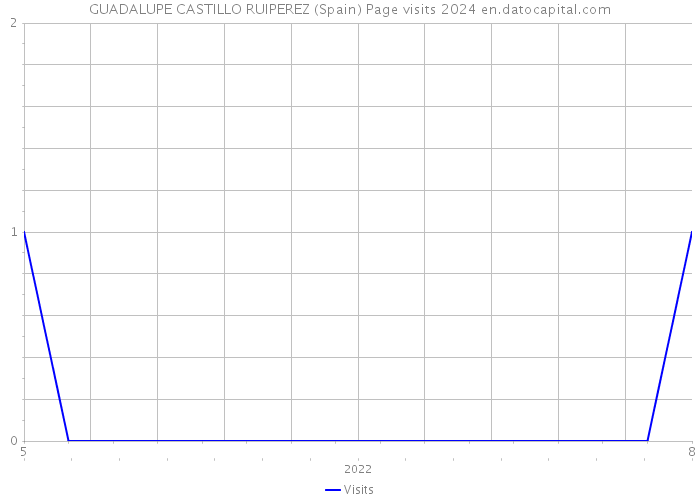 GUADALUPE CASTILLO RUIPEREZ (Spain) Page visits 2024 