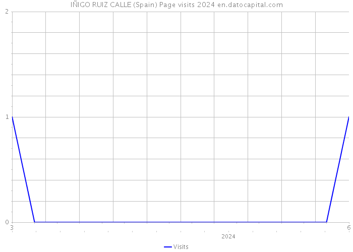 IÑIGO RUIZ CALLE (Spain) Page visits 2024 