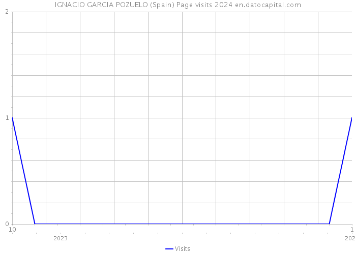 IGNACIO GARCIA POZUELO (Spain) Page visits 2024 