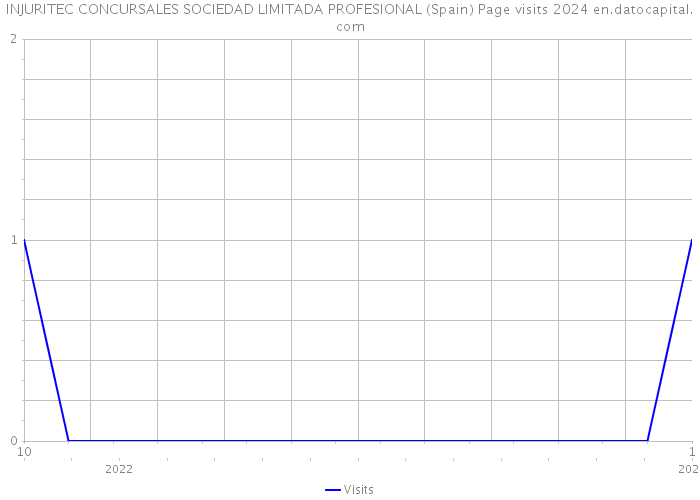 INJURITEC CONCURSALES SOCIEDAD LIMITADA PROFESIONAL (Spain) Page visits 2024 