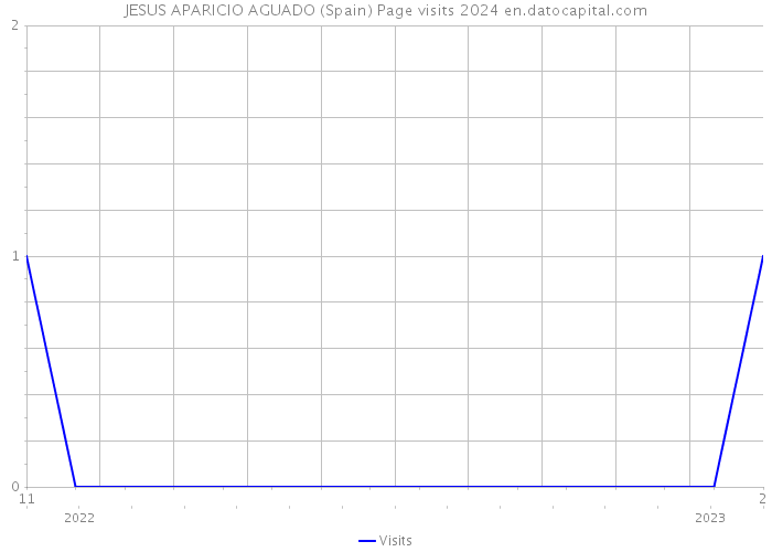 JESUS APARICIO AGUADO (Spain) Page visits 2024 