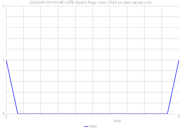 JOAQUIN GOYACHE GOÑI (Spain) Page visits 2024 