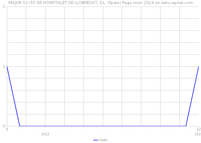 MAJOR 51-55 DE HOSPITALET DE LLOBREGAT, S.L. (Spain) Page visits 2024 