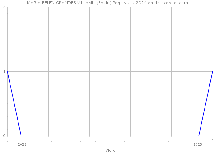 MARIA BELEN GRANDES VILLAMIL (Spain) Page visits 2024 