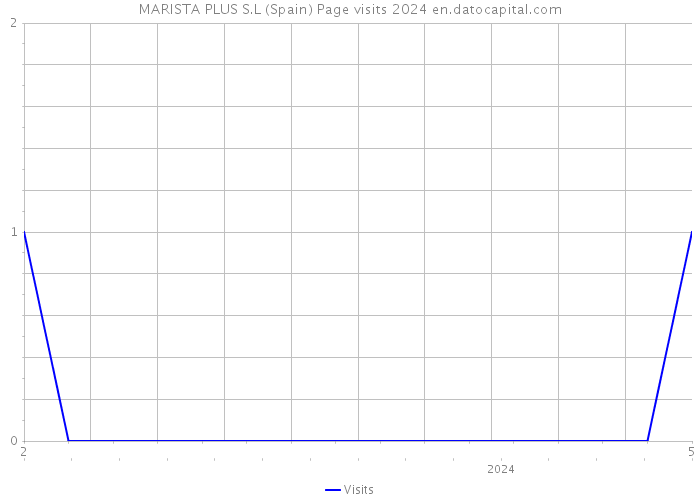 MARISTA PLUS S.L (Spain) Page visits 2024 