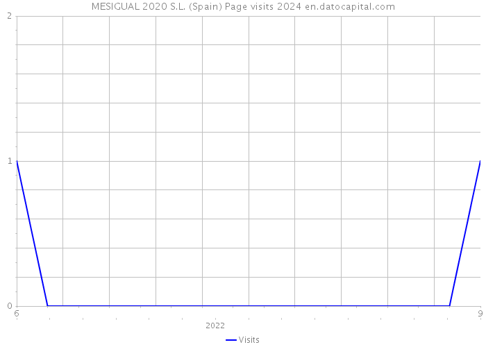 MESIGUAL 2020 S.L. (Spain) Page visits 2024 