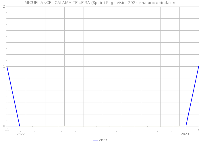 MIGUEL ANGEL CALAMA TEIXEIRA (Spain) Page visits 2024 
