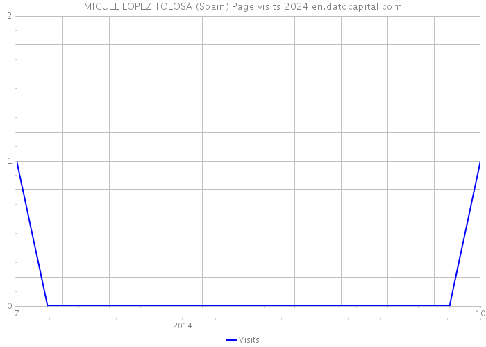 MIGUEL LOPEZ TOLOSA (Spain) Page visits 2024 