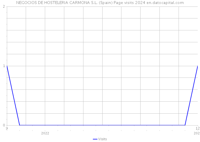 NEGOCIOS DE HOSTELERIA CARMONA S.L. (Spain) Page visits 2024 