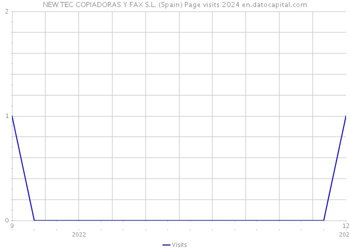NEW TEC COPIADORAS Y FAX S.L. (Spain) Page visits 2024 