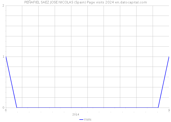 PEÑAFIEL SAEZ JOSE NICOLAS (Spain) Page visits 2024 