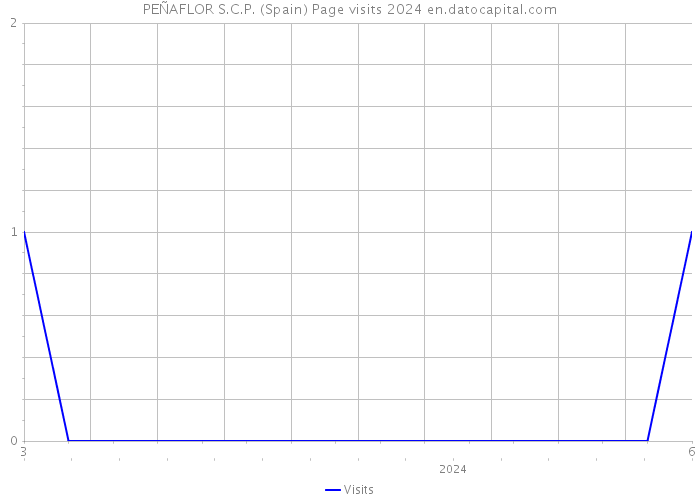 PEÑAFLOR S.C.P. (Spain) Page visits 2024 