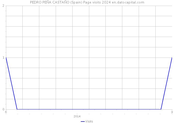 PEDRO PEÑA CASTAÑO (Spain) Page visits 2024 