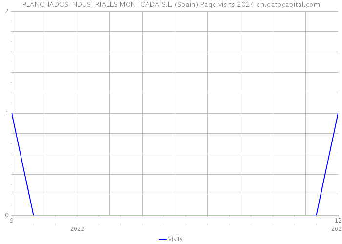 PLANCHADOS INDUSTRIALES MONTCADA S.L. (Spain) Page visits 2024 