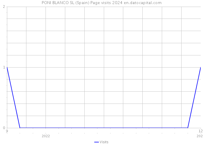 PONI BLANCO SL (Spain) Page visits 2024 