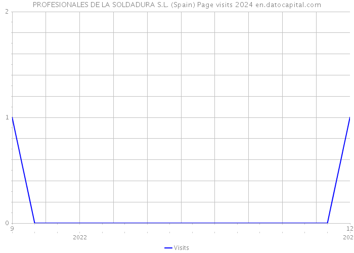 PROFESIONALES DE LA SOLDADURA S.L. (Spain) Page visits 2024 