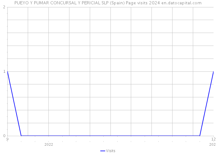PUEYO Y PUMAR CONCURSAL Y PERICIAL SLP (Spain) Page visits 2024 