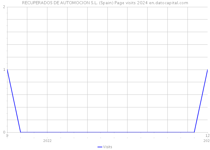 RECUPERADOS DE AUTOMOCION S.L. (Spain) Page visits 2024 