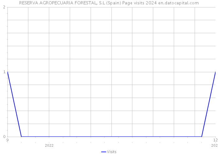 RESERVA AGROPECUARIA FORESTAL, S.L (Spain) Page visits 2024 