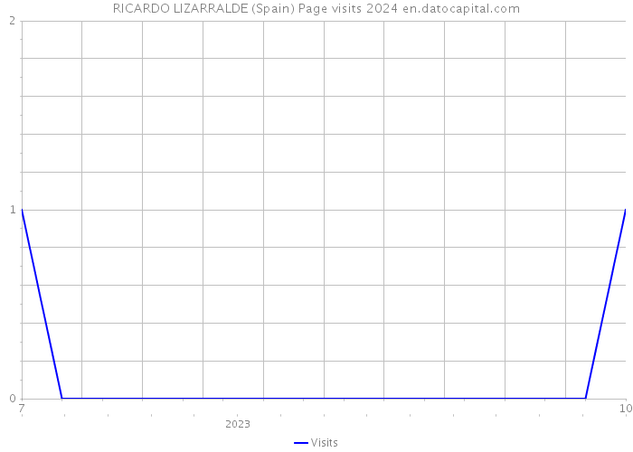 RICARDO LIZARRALDE (Spain) Page visits 2024 